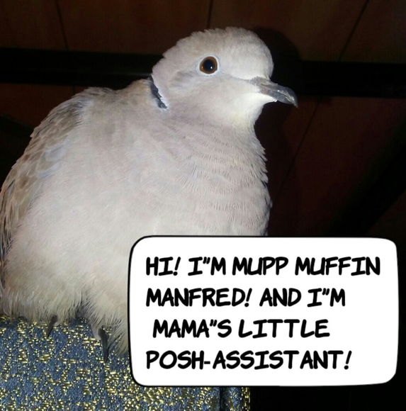 FOLLOW THE NAMES GAME! - Picture 2 of 6